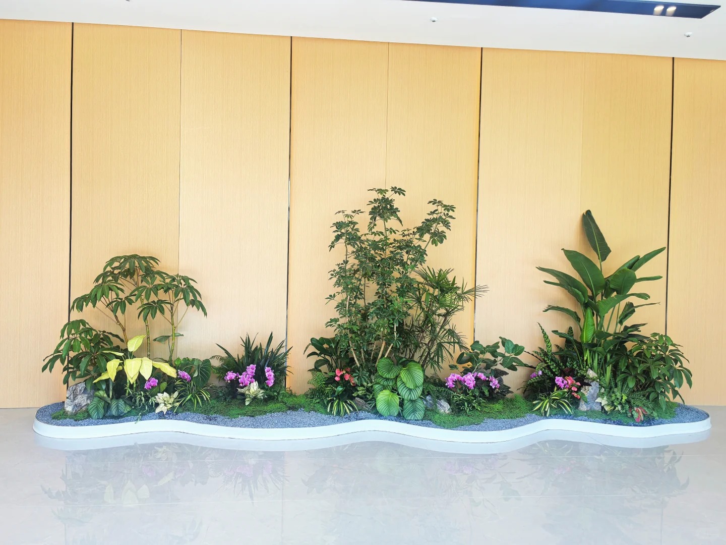 了解慈溪植物出租,轻松营造梦幻绿色空间